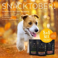 8und 1 Vorteils-Set Snacktober