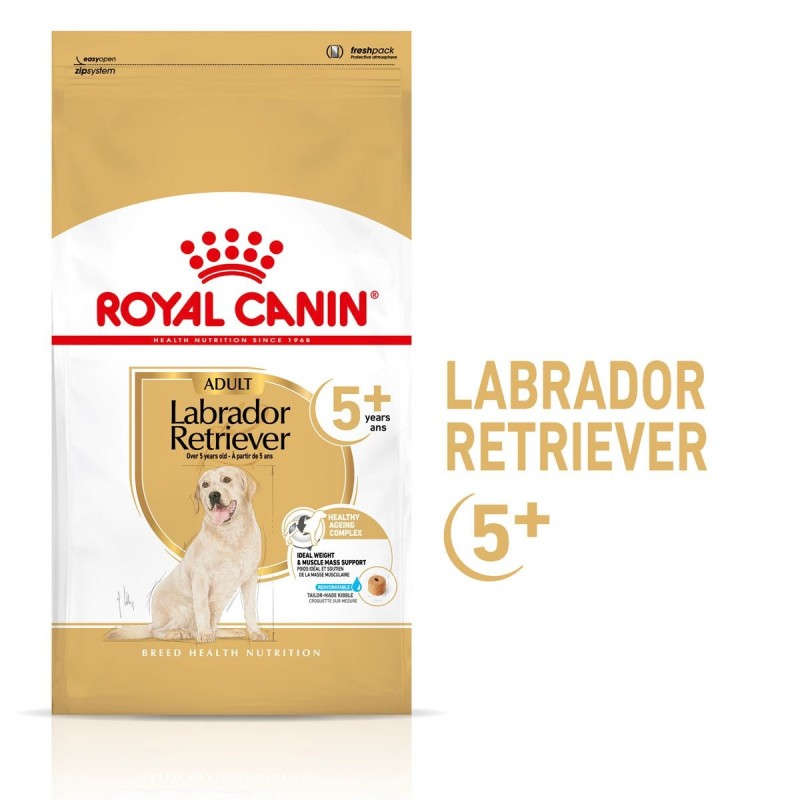 ROYAL CANIN Labrador Retriever Adult 5und  Trockenfutter für Hunde ab 5 Jahren 3kg