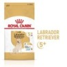 ROYAL CANIN Labrador Retriever Adult 5und  Trockenfutter für Hunde ab 5 Jahren 3kg